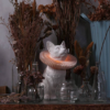 LAMPE CHAT CAT HAOSHI 2