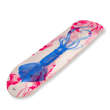 PLANCHE SKATEBOARD DECORATIVE SQUID THE SKATE BIRD 2