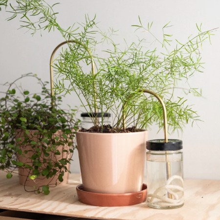 https://wanderlust-conceptstore.com/wp-content/uploads/2023/06/PAILLES-POUR-PLANTES-PLANTSTRAWS-25-5.jpg