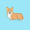 PIN'S CHIEN CORGI - COUCOU SUZETTE