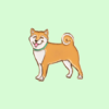 PIN'S CHIEN SHIBA - COUCOU SUZETTE