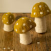 CHAMPIGNON DOTTY EN FEUTRE PISTACHE - MUSKHANE