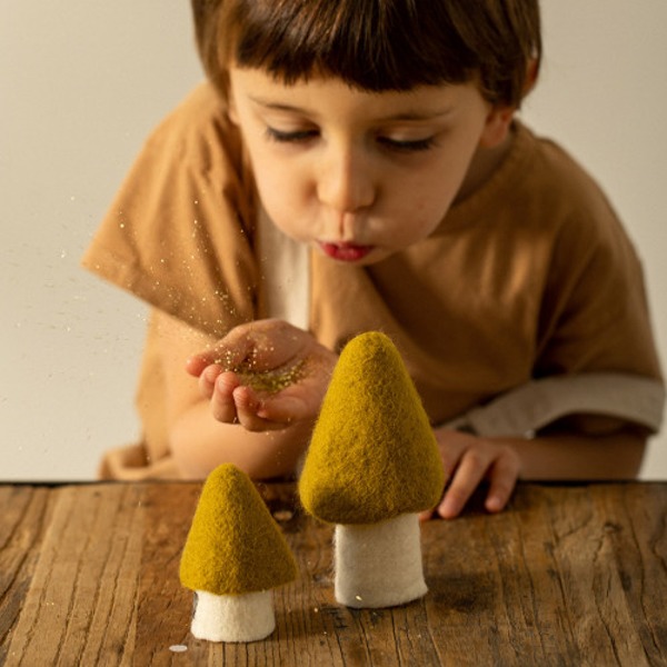 CHAMPIGNON MORILLE EN FEUTRE PISTACHE - MUSKHANE