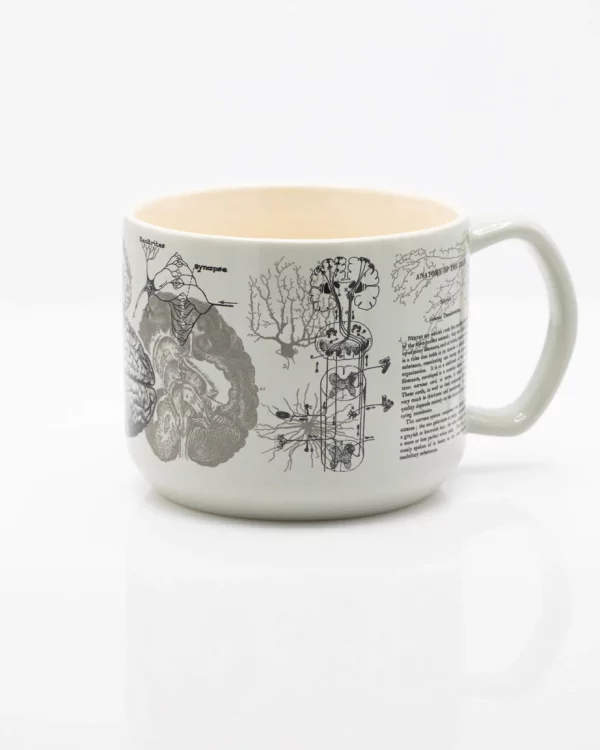 MUG BRAIN ANATOMY CERAMIQUE 450ml - COGNITIVE SURPLUS