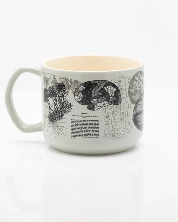 MUG BRAIN ANATOMY CERAMIQUE 450ml - COGNITIVE SURPLUS