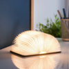 Gingko lampe livre mini NOYER wanderlust 01