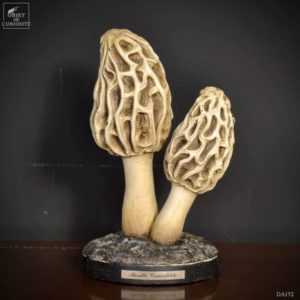 ARTEFACT DE MORILLES - OBJET DE CURIOSITÉ