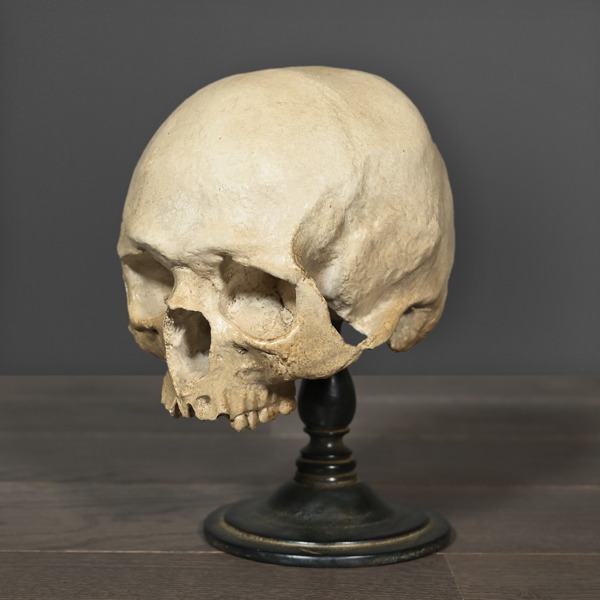 MEMENTO MORI "HAMLETT" - OBJET DE CURIOSITÉ