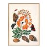 AFFICHE "TWO BUTTERFLIES, ORANGE FLOWER & SEASHELLS" - THE DYBDAHL CO.