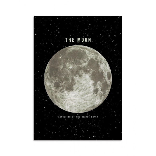 CARTE POSTALE THE MOON PAR TERRY FAN - WALL EDITION