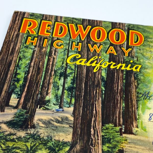 CARNET CARTES POSTALES "SOUVENIR FOLDER OF" REDWOOD HIGHWAY CALIFORNIA" - MADE IN USA