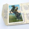 SOUVENIR FOLDER OF WILD WEST COWBOY CARNET CARTES POSTALES VINTAGE USA 1608 1