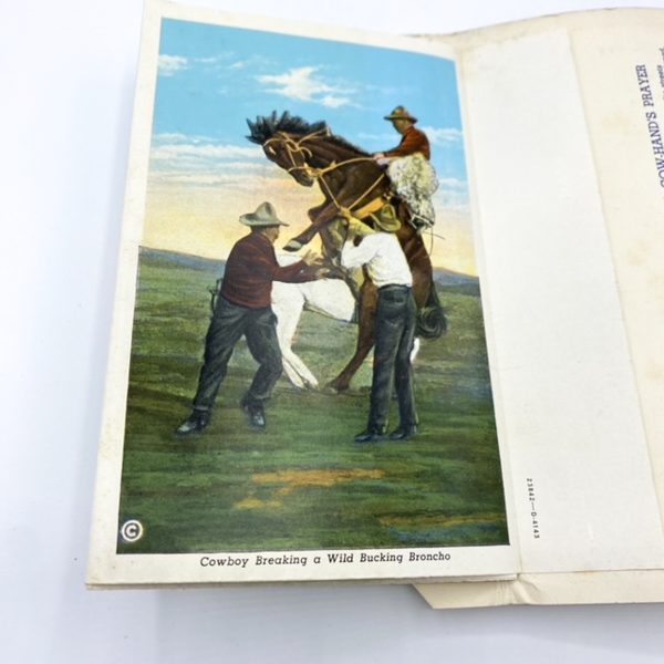 CARNET CARTES POSTALES "SOUVENIR FOLDER WILD WEST AND COWBOY" - MADE IN USA