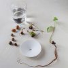 COUPELLE DE GERMINATION ACORN BOTANOPIA PLANTES SPROUT 1