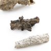 FOSSILE ECLAIR FULGURITE COLLECTIONNEUR SCIENCES 27 11