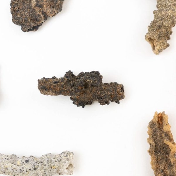 FOSSILE ECLAIR FULGURITE COLLECTIONNEUR SCIENCES 27 14