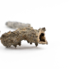 FOSSILE ECLAIR FULGURITE COLLECTIONNEUR SCIENCES 27 15