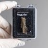 FOSSILE D'UN ECLAIR "FULGURITE" DANS SA BOÎTE DE COLLECTIONNEUR - FU-01