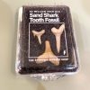 FOSSILES DE DENTS DE REQUINS SCIENCES 8370