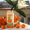 VASE ORANGE JUICE FLUID MARKET WANDERLUST 02.jpg