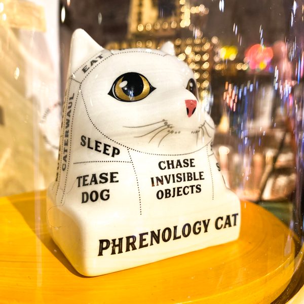 BUSTE PHRENOLOGY CAT « LISEZ DANS LES PENSÉES DE VOTRE CHAT »