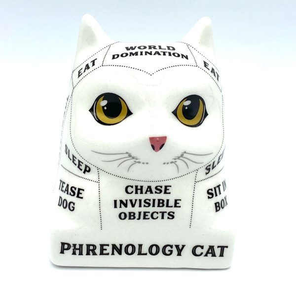 BUSTE PHRENOLOGY CAT LISEZ DANS LES PENSEES DE VOTRE CHAT 0192