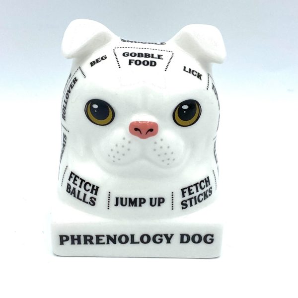 BUSTE PHRENOLOGY DOG LISEZ DANS LES PENSEES DE VOTRE ChIEN 0183