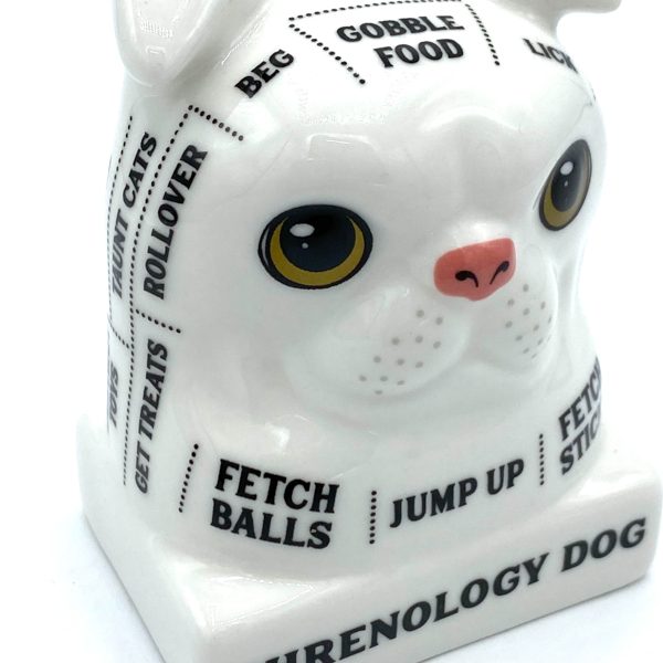 BUSTE PHRENOLOGY DOG LISEZ DANS LES PENSEES DE VOTRE ChIEN 0190