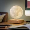 WANDERLUST Gingko Moon Lamp 03