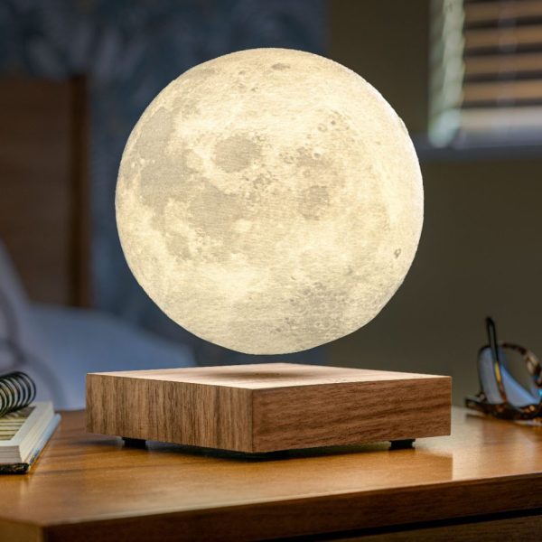 WANDERLUST Gingko Moon Lamp 04