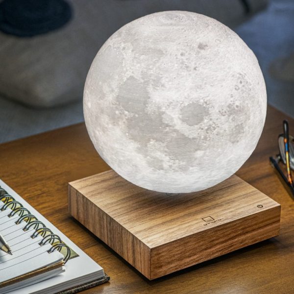 WANDERLUST Gingko Moon Lamp 05