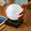 WANDERLUST Gingko Moon Lamp